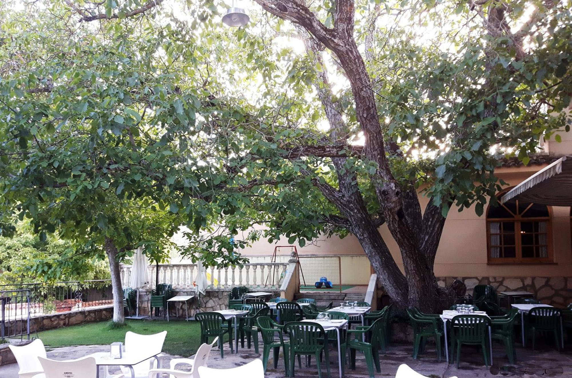 Hotel La Noguera Palomera Exterior foto
